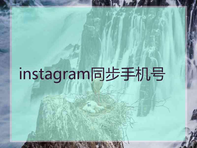 instagram同步手机号