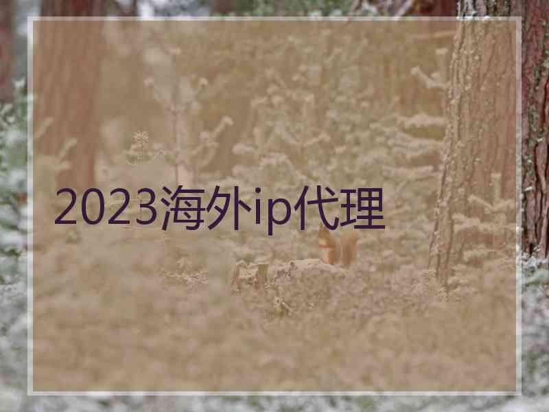 2023海外ip代理