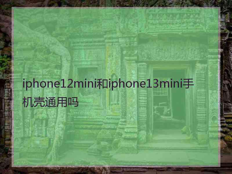 iphone12mini和iphone13mini手机壳通用吗