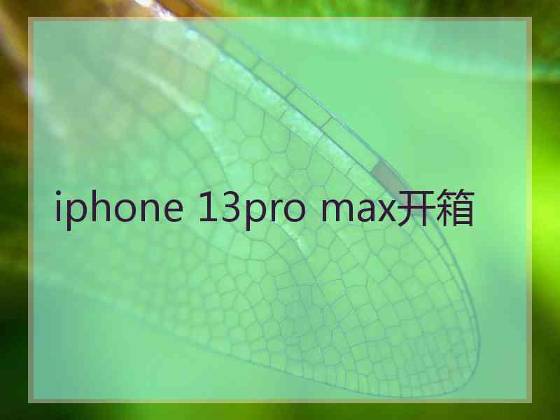 iphone 13pro max开箱