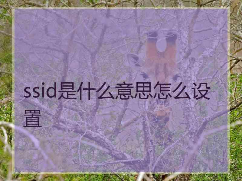 ssid是什么意思怎么设置