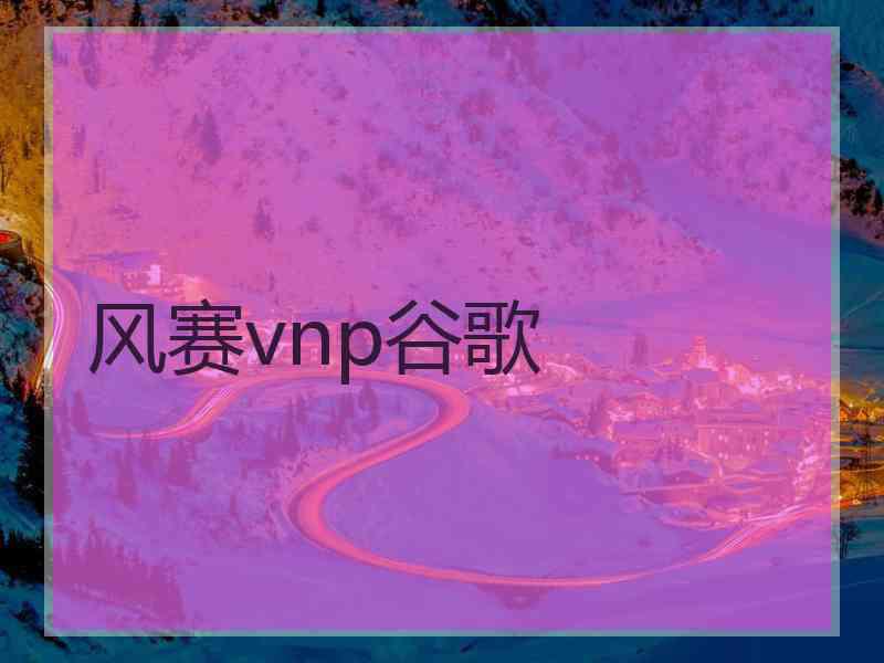 风赛vnp谷歌