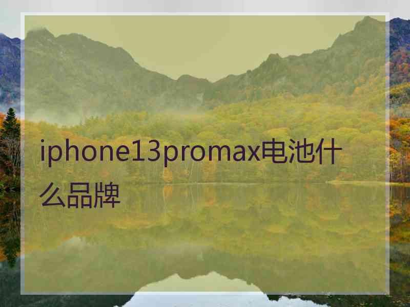 iphone13promax电池什么品牌