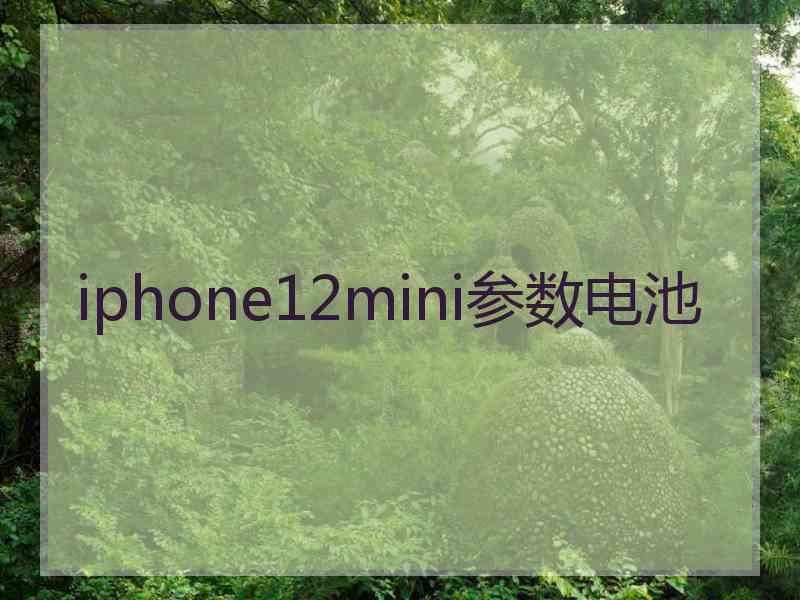 iphone12mini参数电池