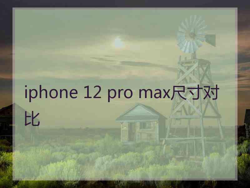 iphone 12 pro max尺寸对比