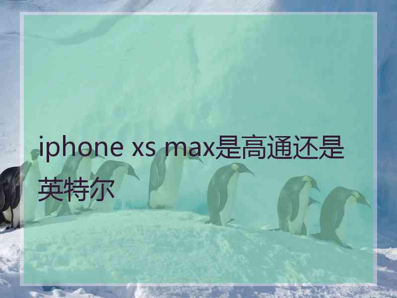 iphone xs max是高通还是英特尔