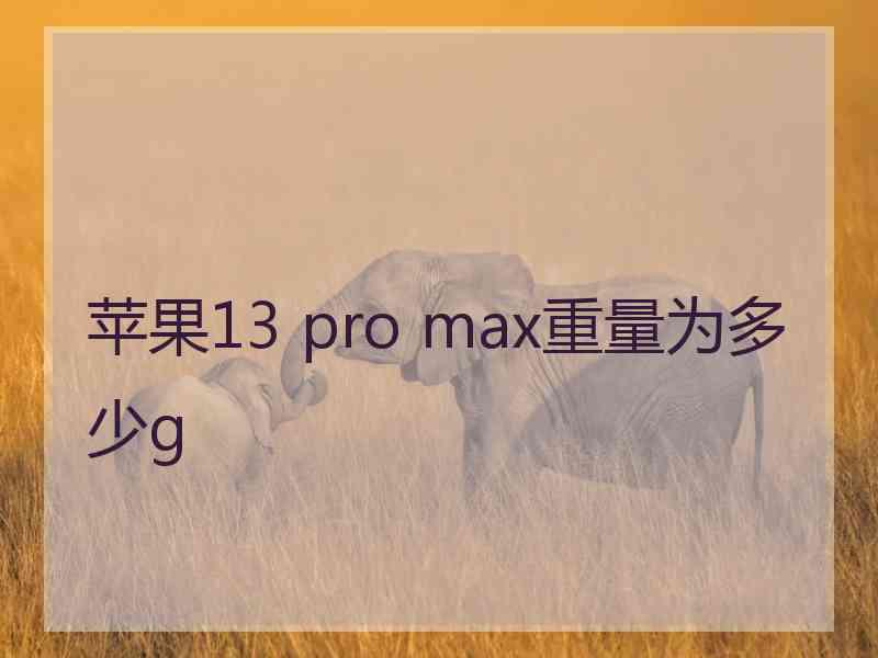 苹果13 pro max重量为多少g