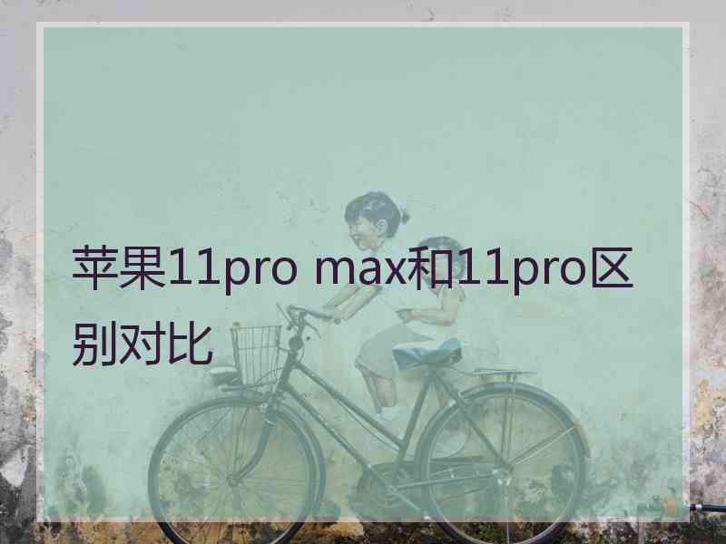 苹果11pro max和11pro区别对比