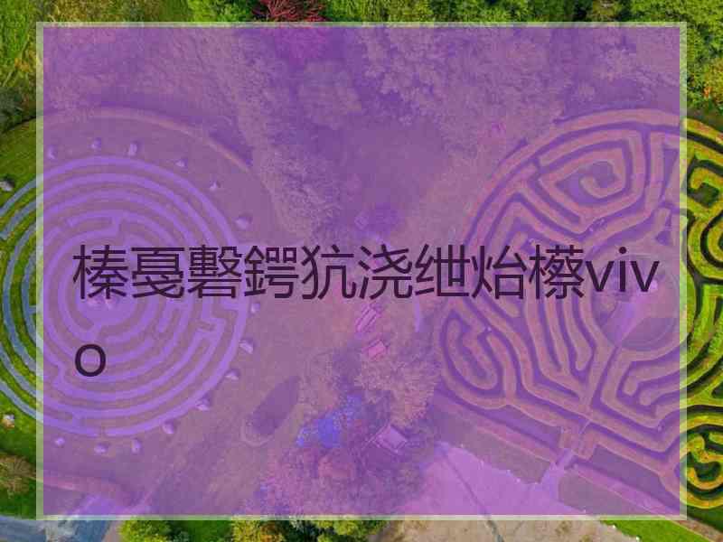 榛戞礊鍔犺浇绁炲櫒vivo