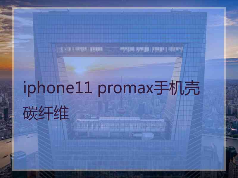 iphone11 promax手机壳碳纤维