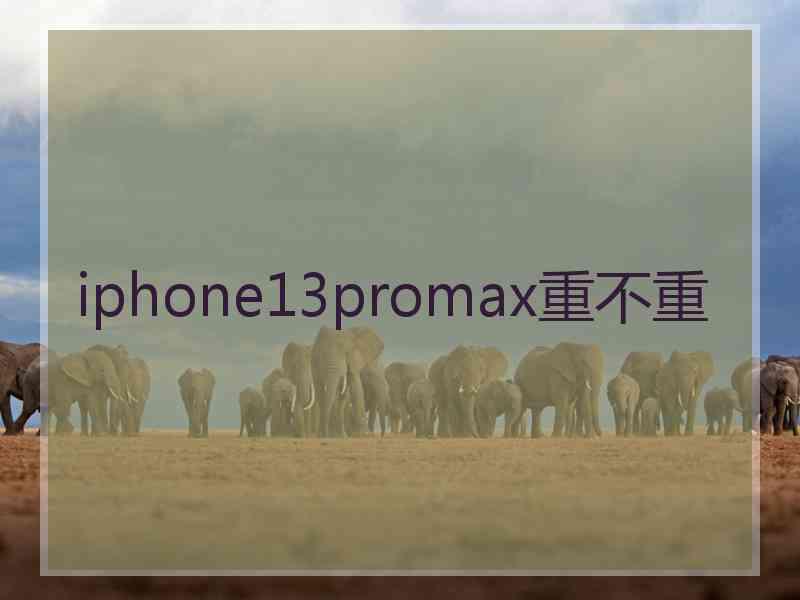 iphone13promax重不重