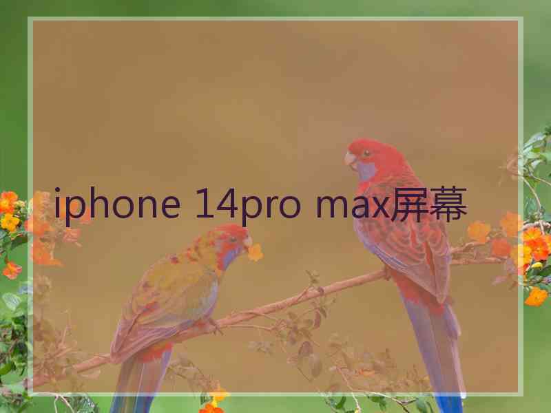 iphone 14pro max屏幕