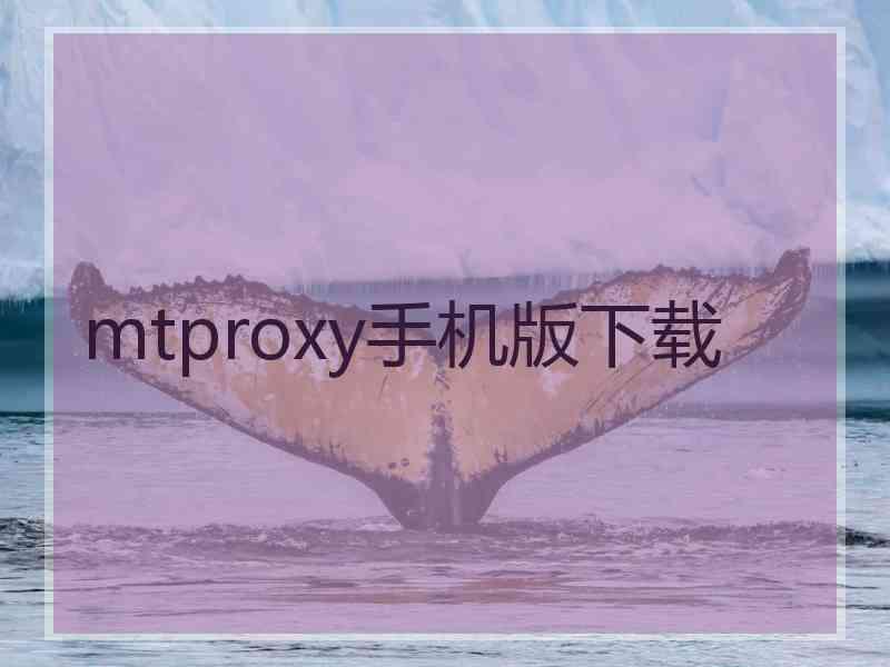 mtproxy手机版下载