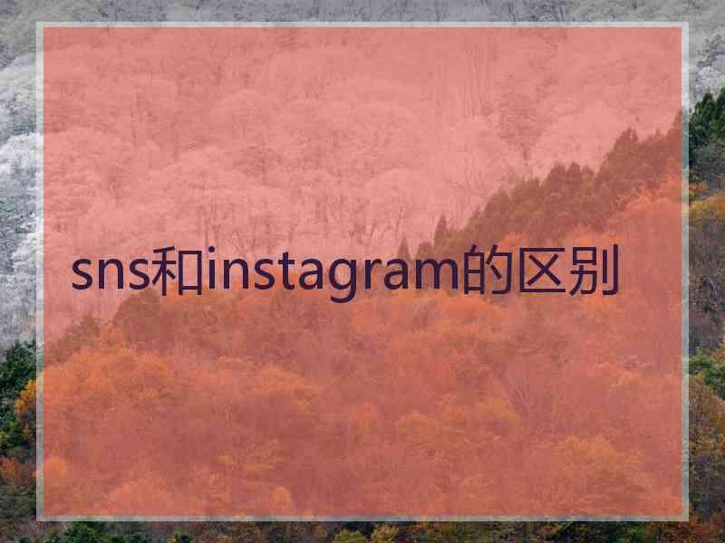 sns和instagram的区别