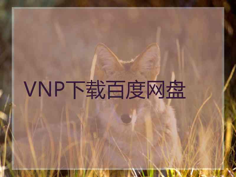 VNP下载百度网盘