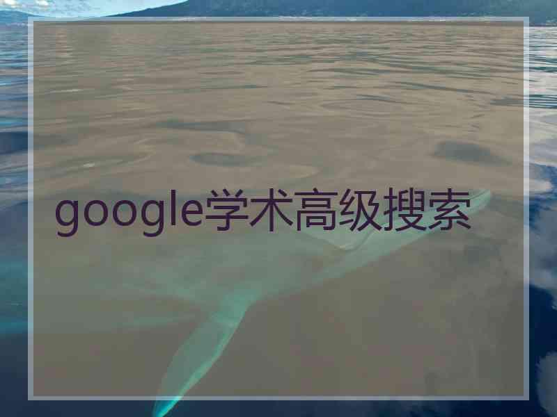 google学术高级搜索