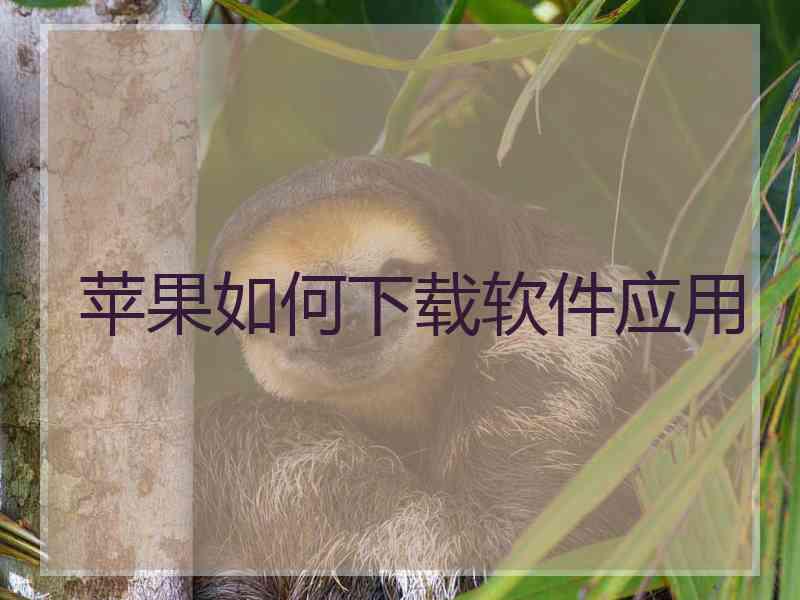 苹果如何下载软件应用