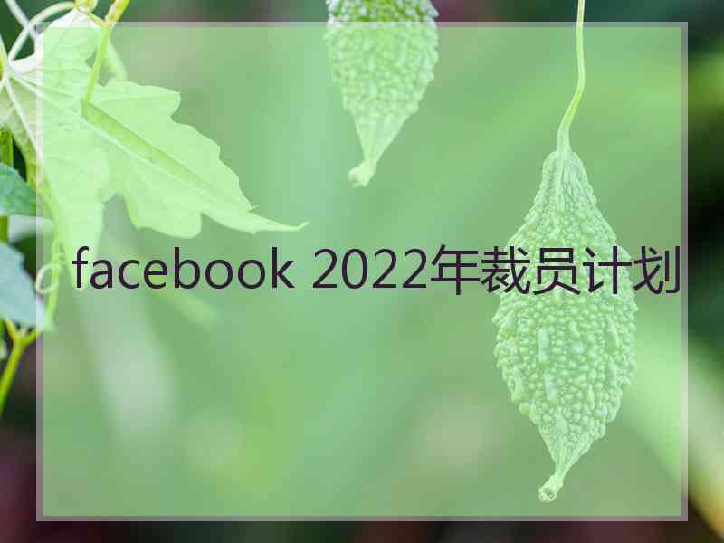 facebook 2022年裁员计划