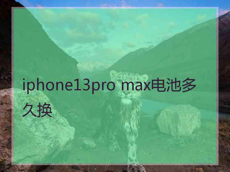 iphone13pro max电池多久换