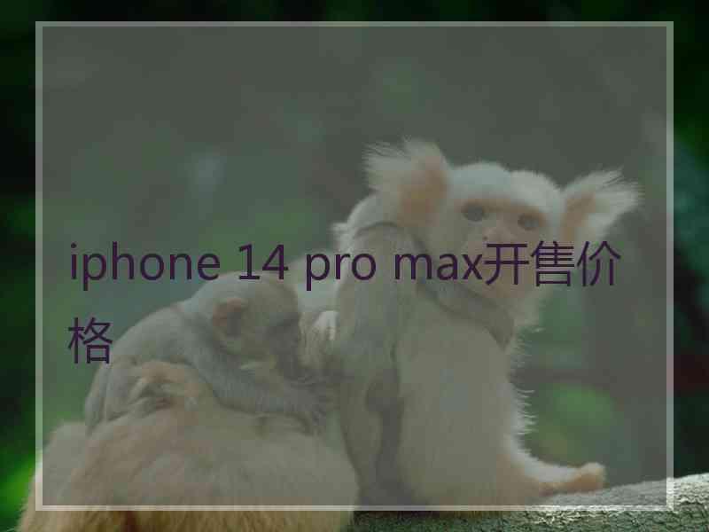 iphone 14 pro max开售价格