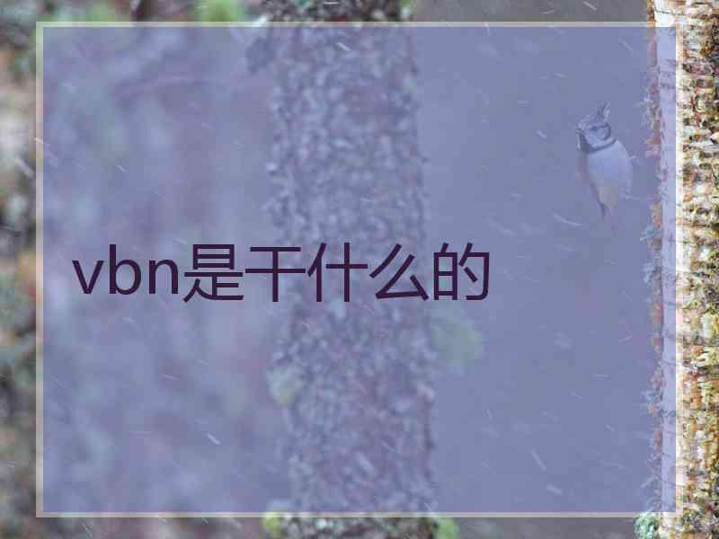 vbn是干什么的