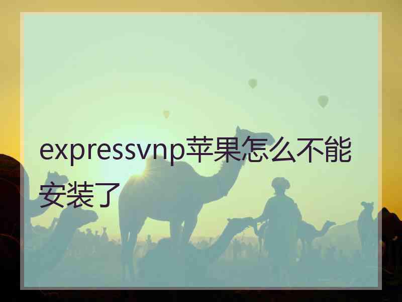 expressvnp苹果怎么不能安装了