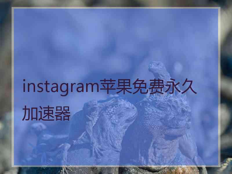 instagram苹果免费永久加速器