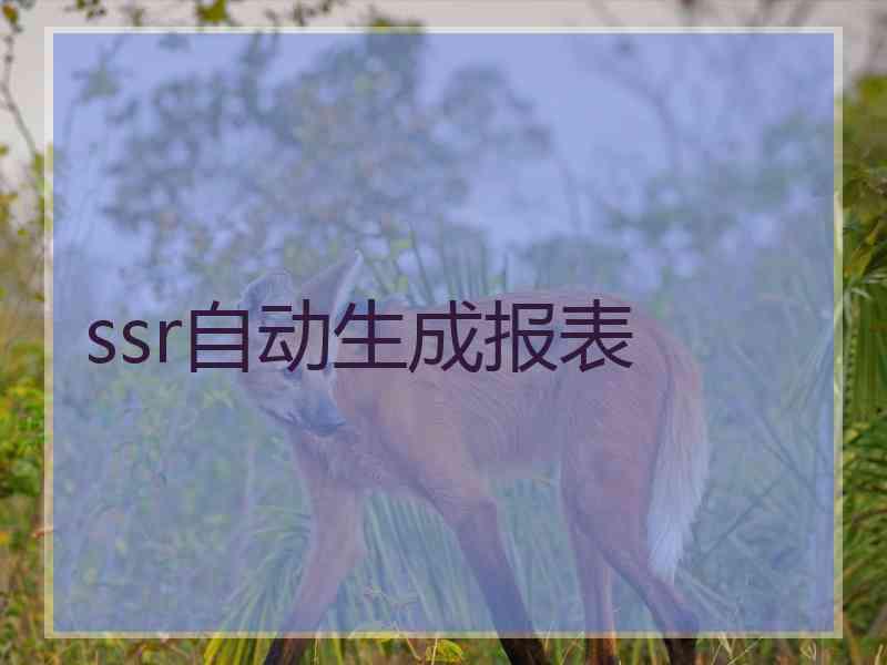 ssr自动生成报表