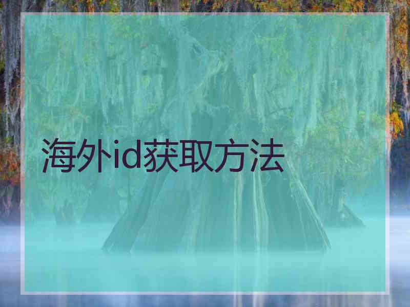 海外id获取方法