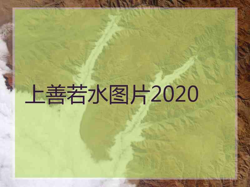 上善若水图片2020