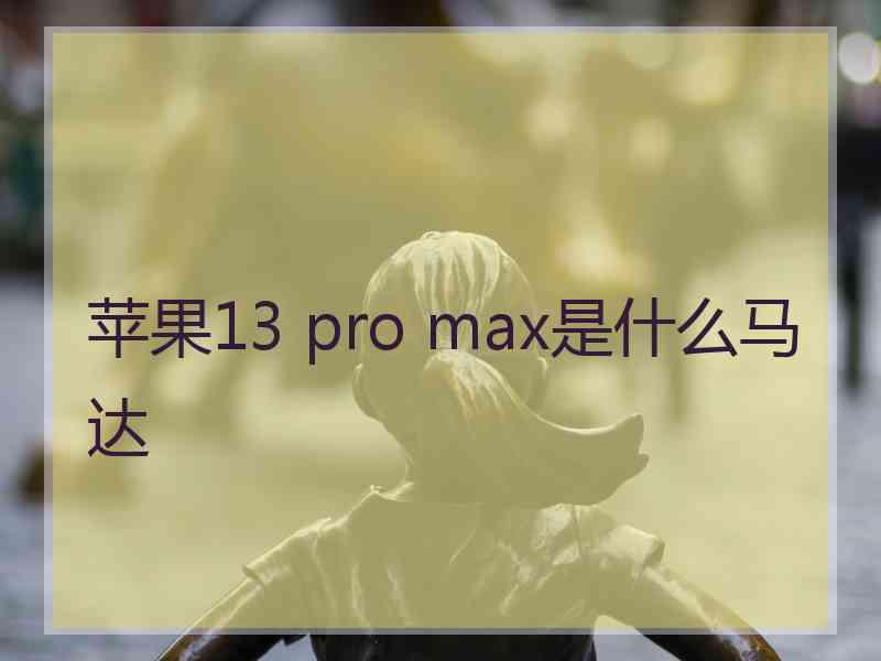 苹果13 pro max是什么马达