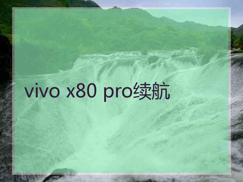 vivo x80 pro续航