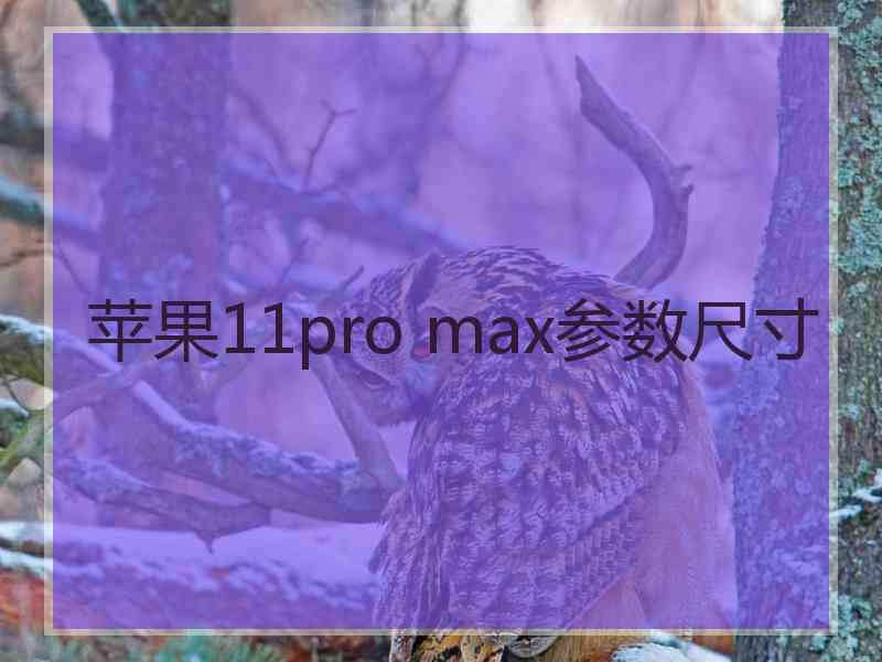 苹果11pro max参数尺寸