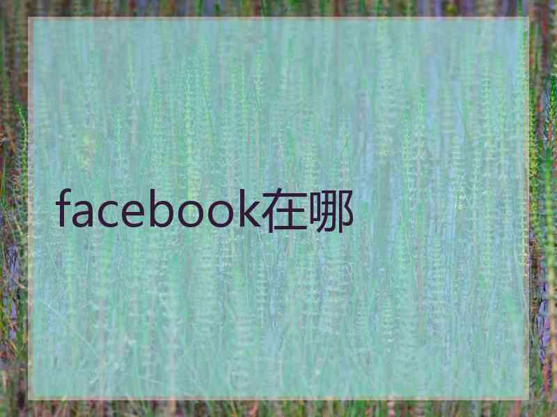 facebook在哪