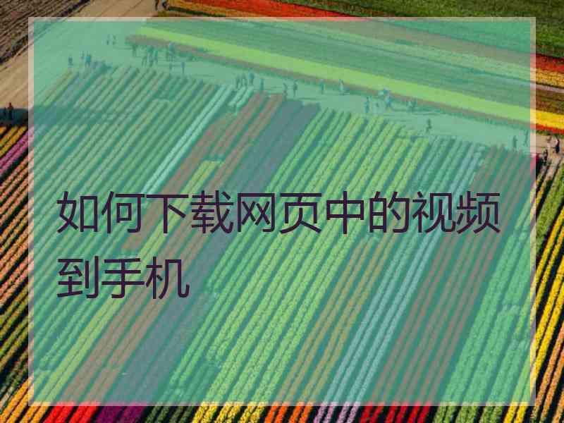 如何下载网页中的视频到手机