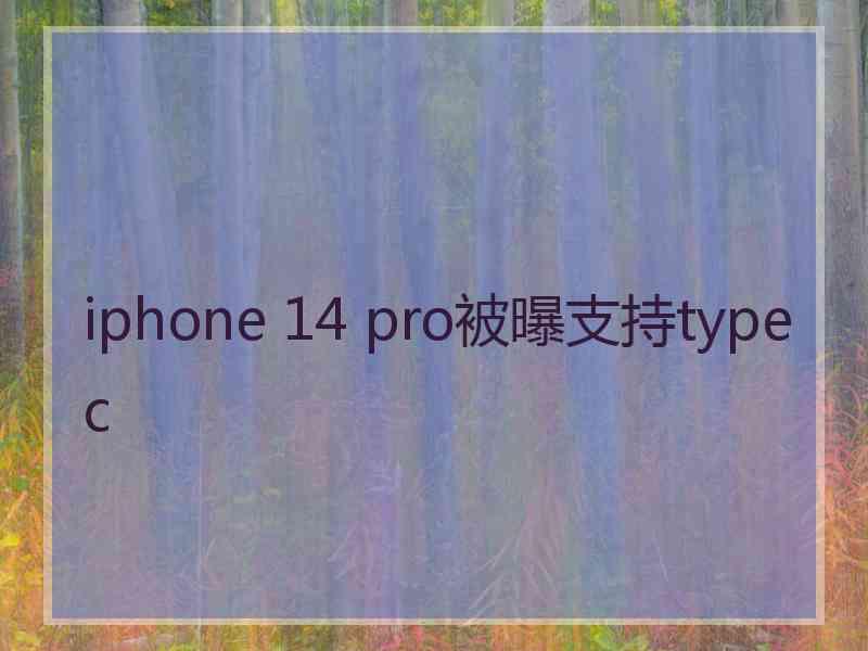 iphone 14 pro被曝支持typec