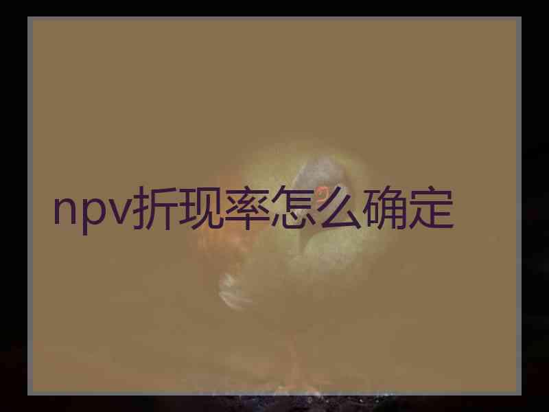 npv折现率怎么确定