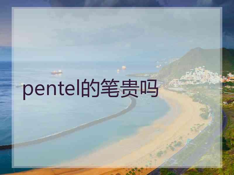 pentel的笔贵吗