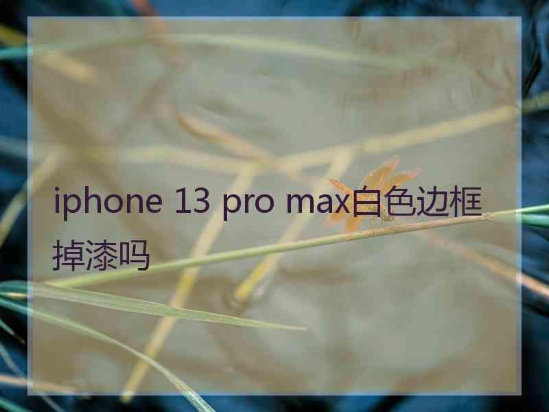 iphone 13 pro max白色边框掉漆吗