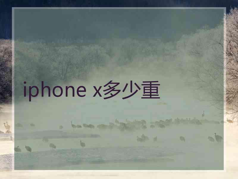 iphone x多少重