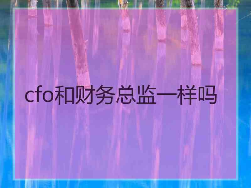 cfo和财务总监一样吗