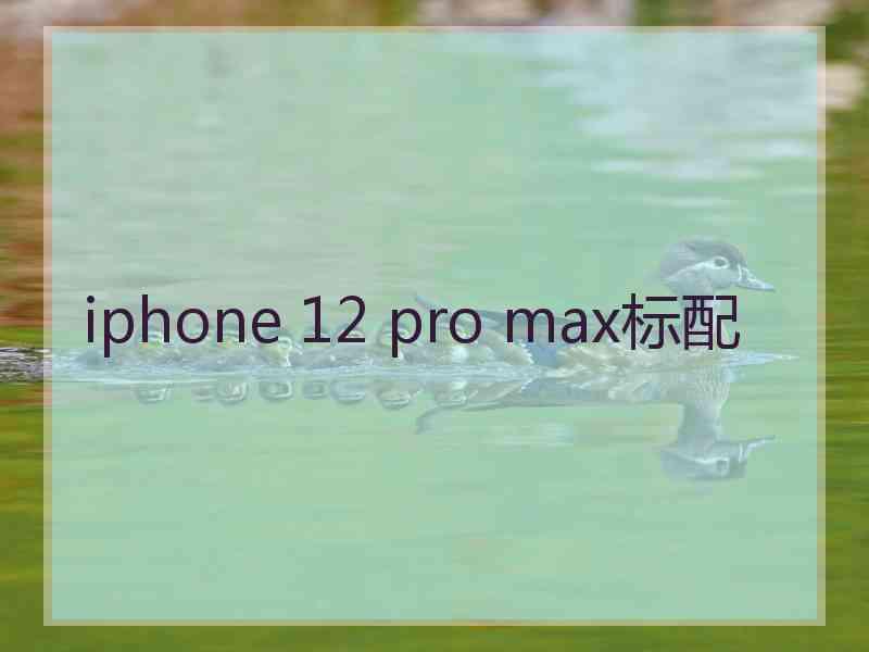 iphone 12 pro max标配