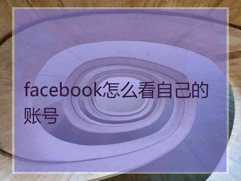 facebook怎么看自己的账号