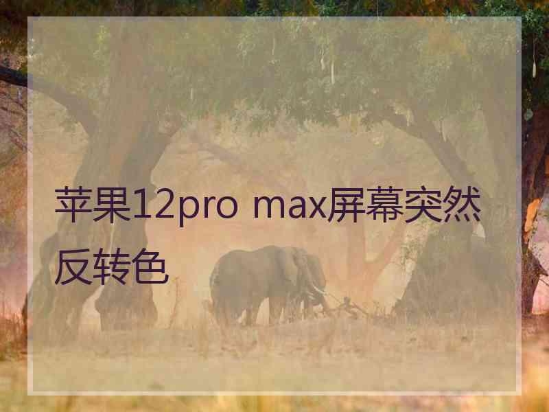 苹果12pro max屏幕突然反转色