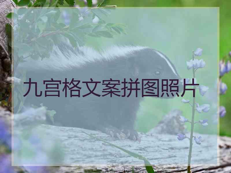 九宫格文案拼图照片