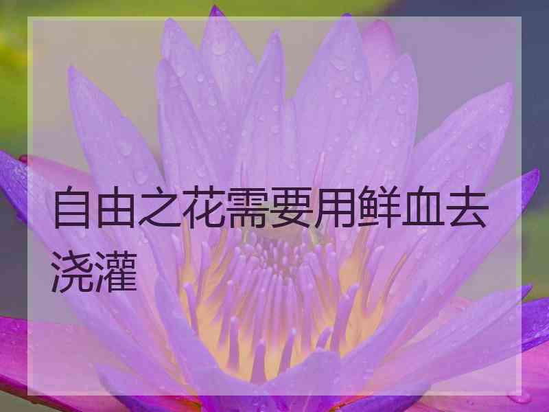 自由之花需要用鲜血去浇灌