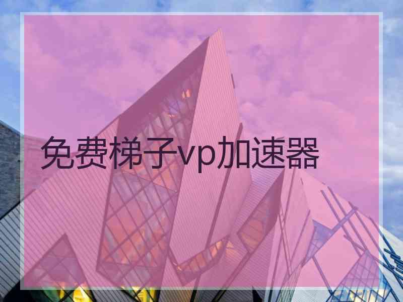 免费梯子vp加速器