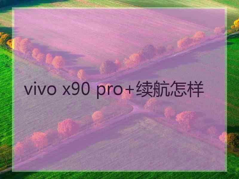 vivo x90 pro+续航怎样