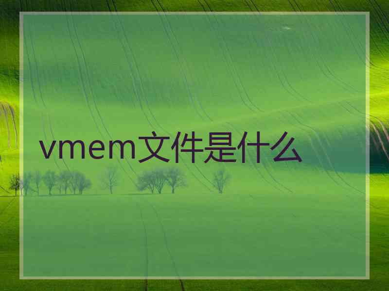 vmem文件是什么