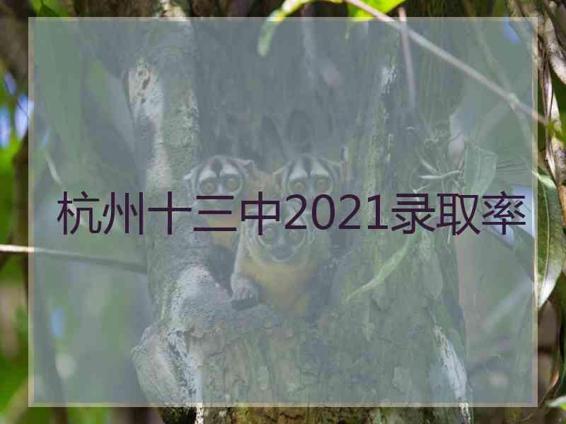 杭州十三中2021录取率